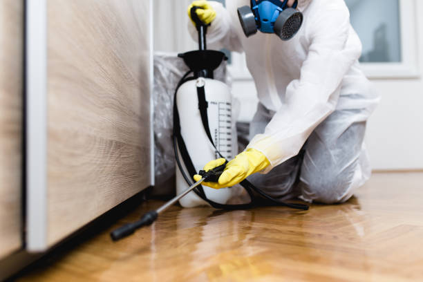  New Orleans, LA Pest Control Pros