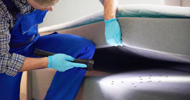 Best Mosquito Control Services  in New Orleans, LA