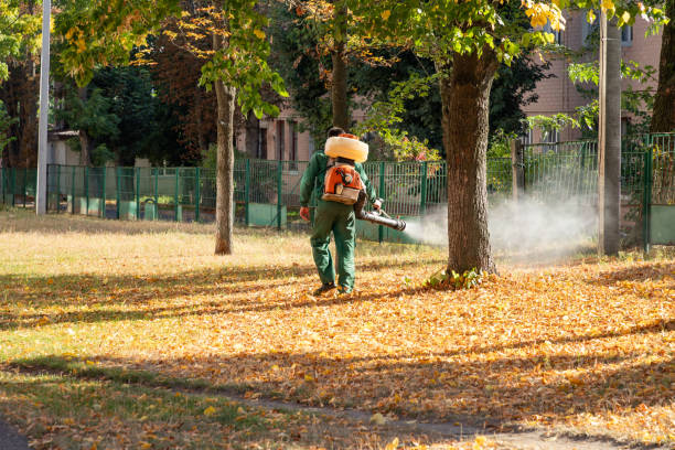 Best Bed Bug Extermination  in New Orleans, LA