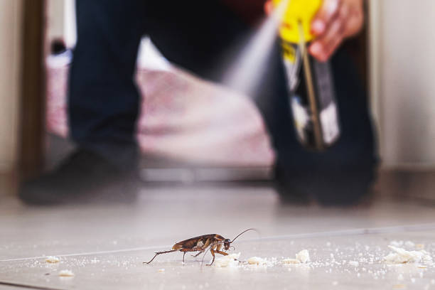 Best Pest Removal Services  in New Orleans, LA
