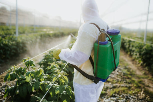 Best Wildlife Control Services  in New Orleans, LA